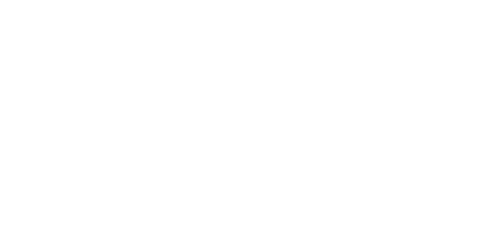 Wilde Ganzen Wilde Ganzen